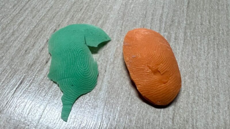 Dentista e auxiliar são presos por uso de prótese com digital para burlar ponto em Schroeder