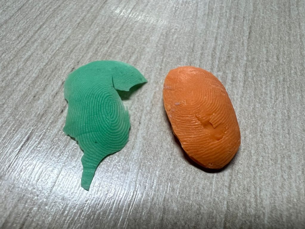 Dentista e auxiliar são presos por uso de prótese com digital para burlar ponto em Schroeder