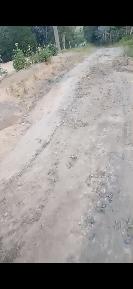 Produtor de fumo denuncia abandono ao produtor rural e cobra ação da Prefeitura em Santa Terezinha