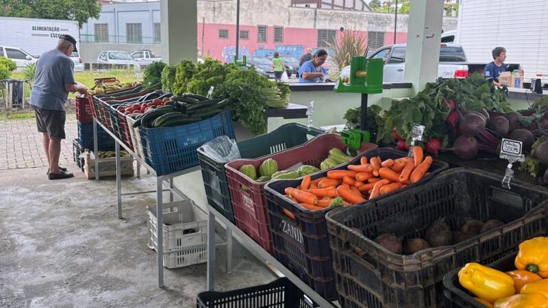 Câmbio Verde arrecada 7 toneladas de recicláveis no bairro Serra Alta