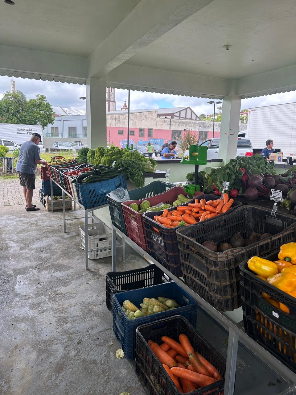 Câmbio Verde arrecada 7 toneladas de recicláveis no bairro Serra Alta