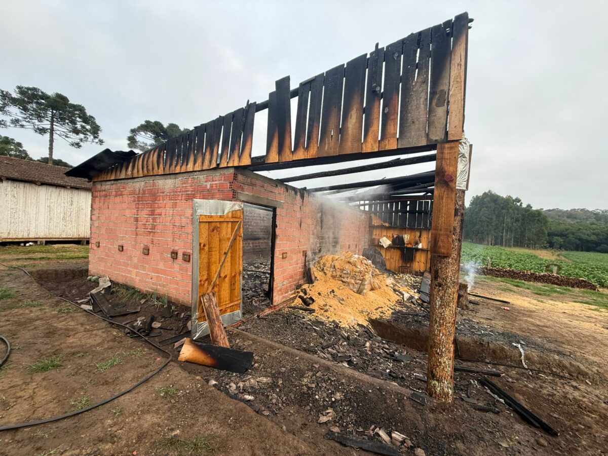 Incêndio destrói estufa de fumo no interior de Bela Vista do Toldo