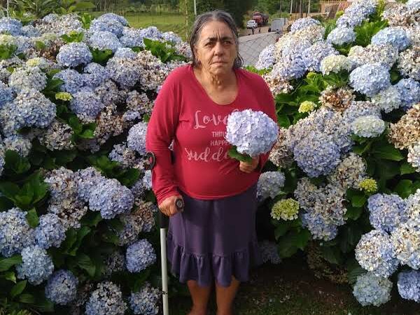 NOTA DE FALECIMENTO DA SRA. EUGENIA BORGES  FRITSCH