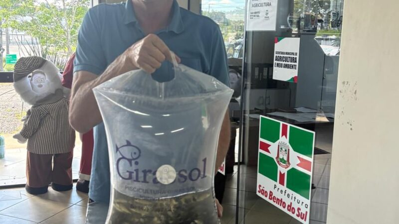 Agricultores recebem mais de 12 mil alevinos e impulsionam a piscicultura em São Bento do Sul