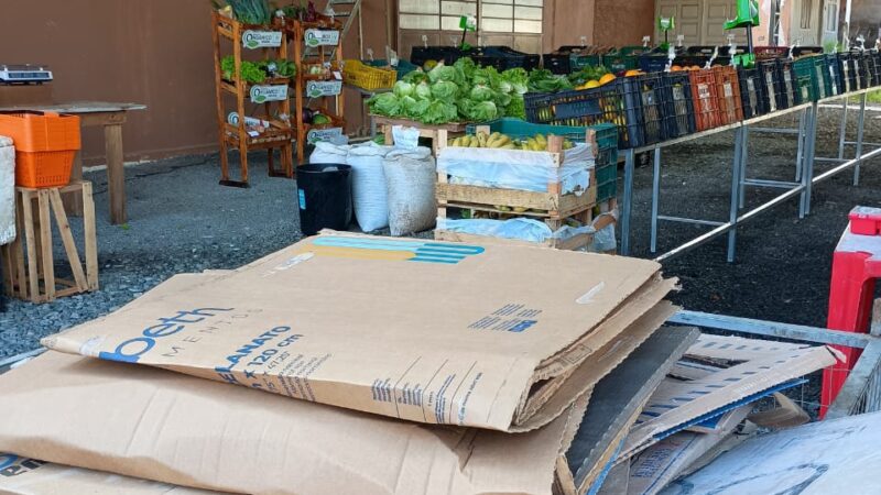 Câmbio Verde recolhe mais de 4,8 toneladas de recicláveis