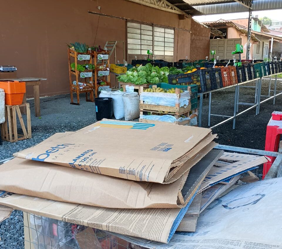 Câmbio Verde recolhe mais de 4,8 toneladas de recicláveis