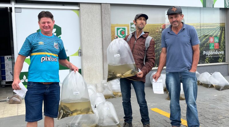 Prefeitura de Papanduva entrega alevinos e incentiva a piscicultura no município