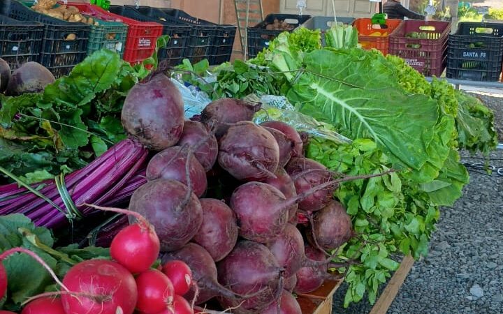 Câmbio Verde recolhe mais de 7 toneladas de recicláveis