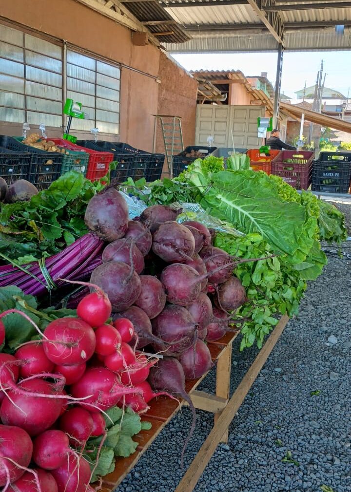 Câmbio Verde recolhe mais de 7 toneladas de recicláveis