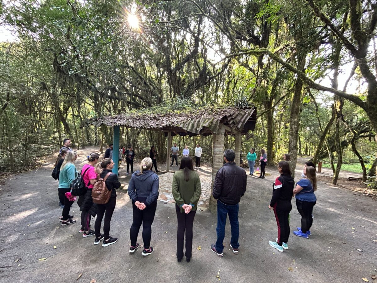 CEMPICS/Farmácia Viva promove último “Banho de Natureza” do ano em São Bento do Sul