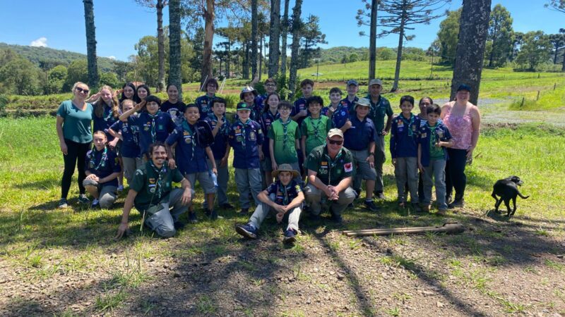 Plantio de 100 araucárias mobiliza escoteiros e secretaria em ação ambiental no horto municipal