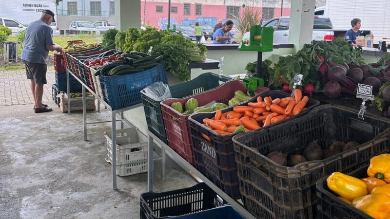 Prefeitura divulga cronograma do Programa Câmbio Verde para janeiro em São Bento do Sul