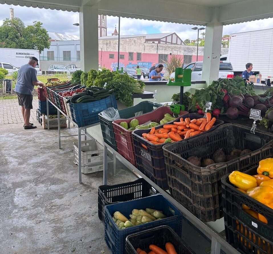 Prefeitura divulga cronograma do Programa Câmbio Verde para janeiro em São Bento do Sul