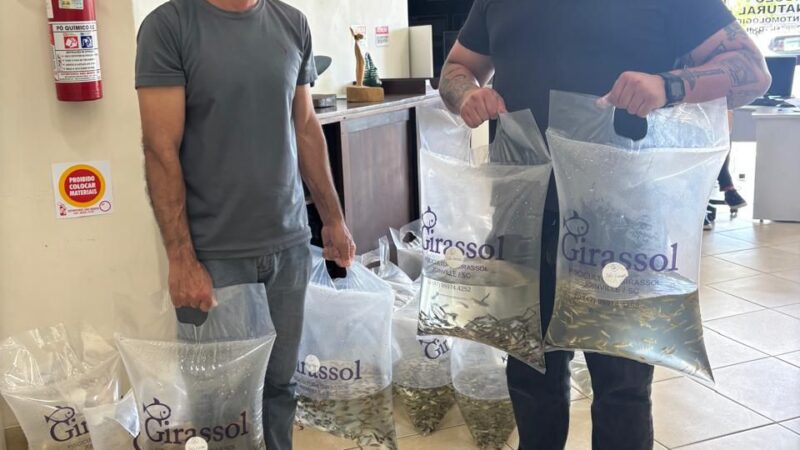 Primeira entrega de alevinos programada para dia 20/02. encomendas abertas na Secretaria de Agricultura