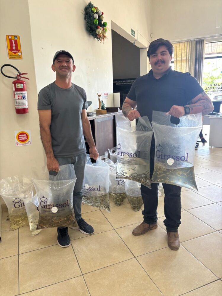 Primeira entrega de alevinos programada para dia 20/02. encomendas abertas na Secretaria de Agricultura