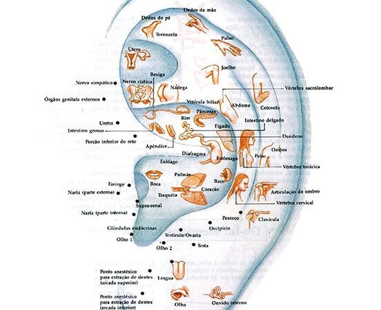 Auriculoterapia é oferecida à população no CEMPICS de São Bento do Sul