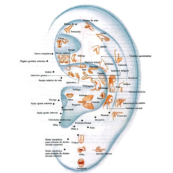 Auriculoterapia é oferecida à população no CEMPICS de São Bento do Sul