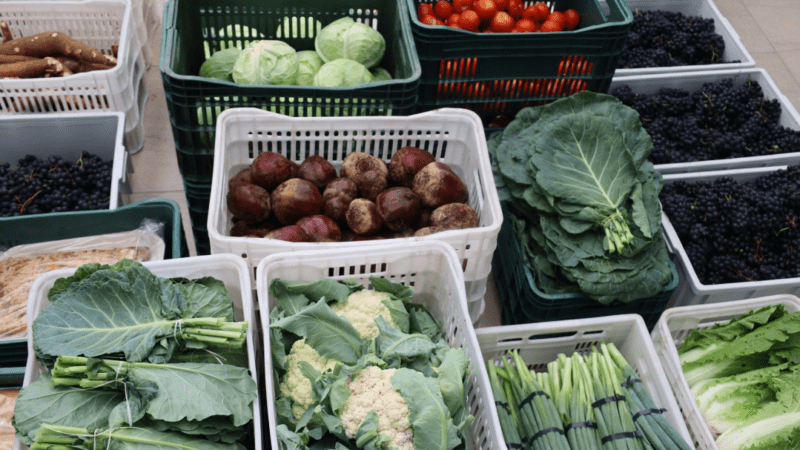 Canoinhas inicia distribuição de alimentos por meio do Programa de Aquisição de Alimentos