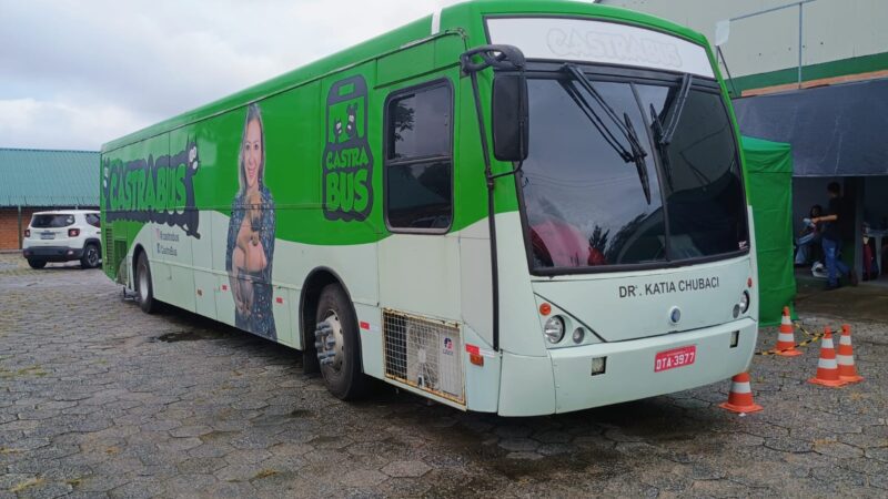 Ação de Castração realiza mais de 170 procedimentos em cães e gatos em Campo Alegre