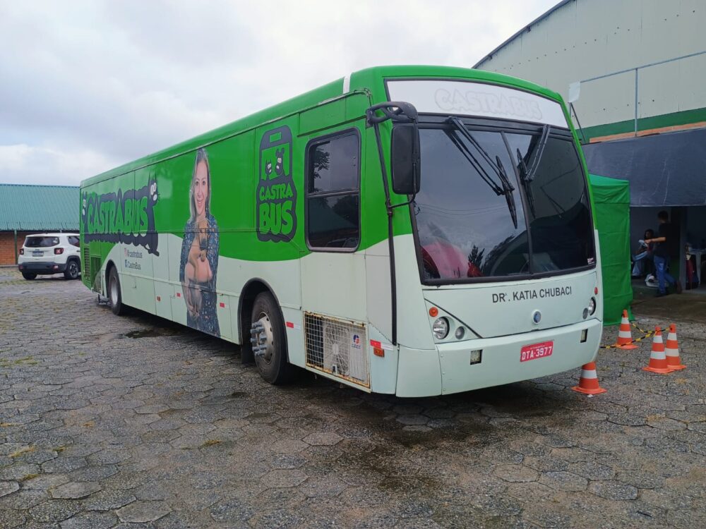 Ação de Castração realiza mais de 170 procedimentos em cães e gatos em Campo Alegre