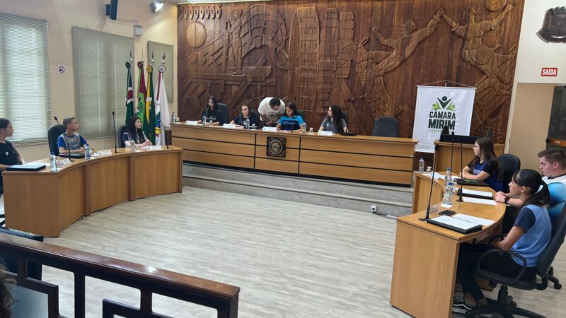 Câmara Mirim dá início às sessões
