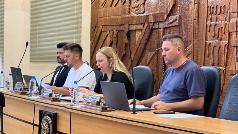 Projeto em benefício ao ‘Amor Miau’ é aprovado nas comissões