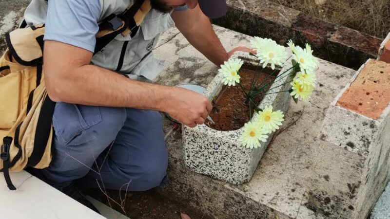 Secretaria de Saúde de Campo Alegre Reforça Ações de Combate À Dengue