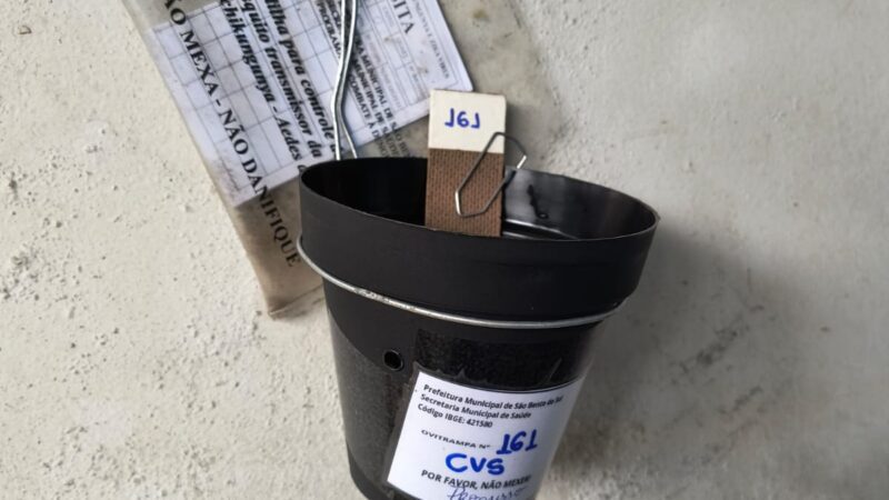 Vigilância Sanitária adota novo modelo de monitoramento da dengue com uso de ovitrampas