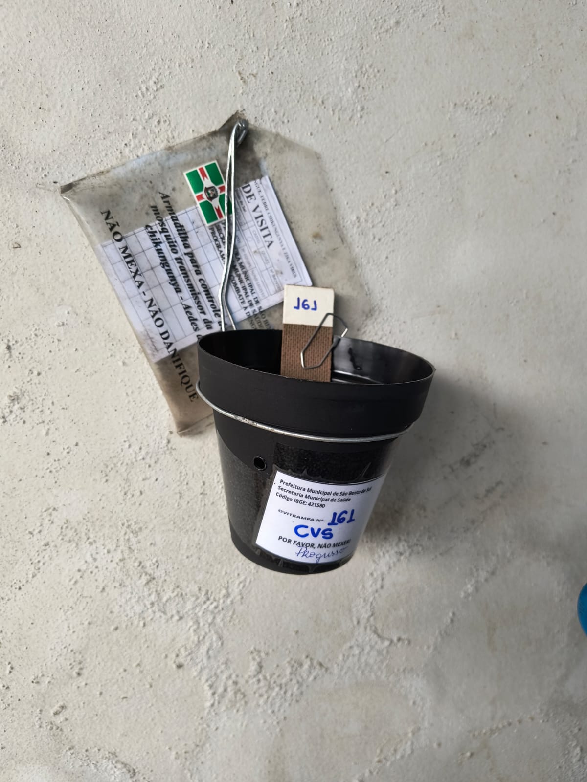 Vigilância Sanitária adota novo modelo de monitoramento da dengue com uso de ovitrampas