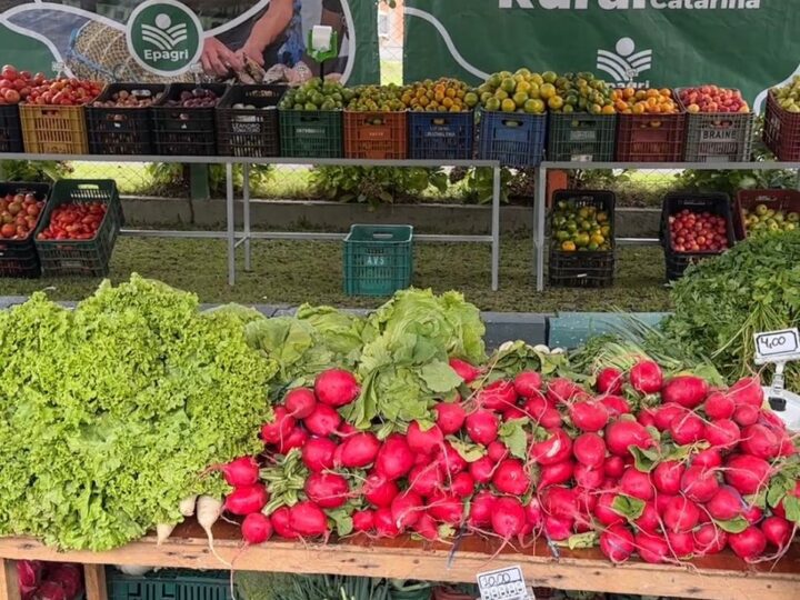Edição do Câmbio Verde acontece no bairro Centenário nesta sexta-feira (20)