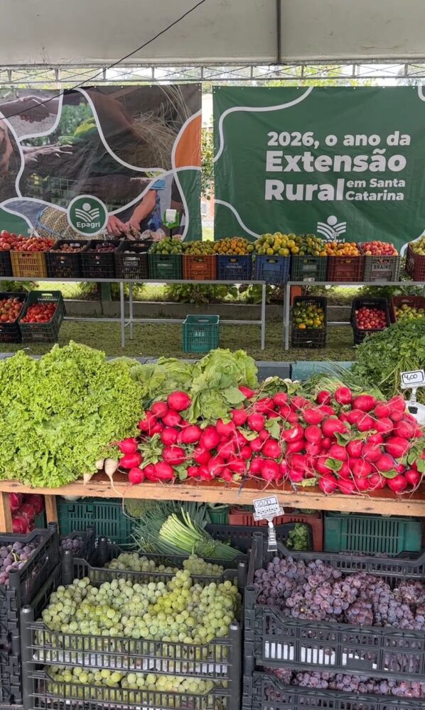 Edição do Câmbio Verde acontece no bairro Centenário nesta sexta-feira (20)