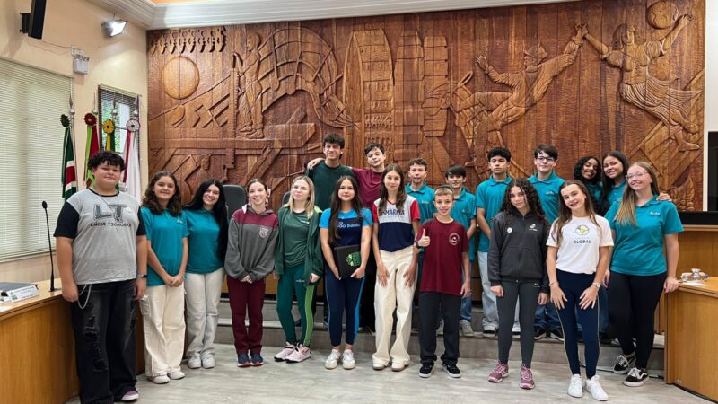 Faixa de pedestres em frente à Prefeitura é debatida na Câmara Mirim