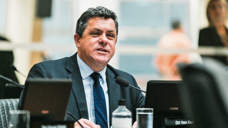 Deputado Ivan Naatz alerta para mortes de aves causadas por muros de vidro em Santa Catarina