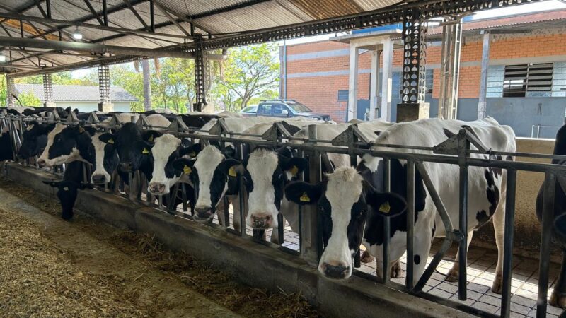 Mais de R$4,5 milhões são movimentados no primeiro dia de operações do Pronampe Leite BRDE SC