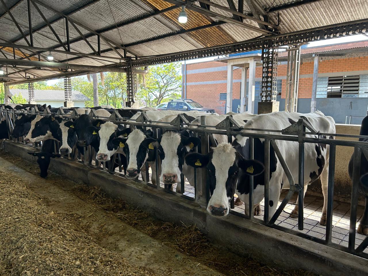 Mais de R$4,5 milhões são movimentados no primeiro dia de operações do Pronampe Leite BRDE SC