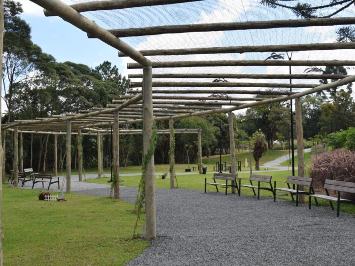 Um Novo Capítulo para Campo Alegre: nasce o Parque Paraíso das Araucárias