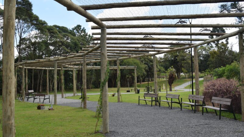 Um Novo Capítulo para Campo Alegre: nasce o Parque Paraíso das Araucárias