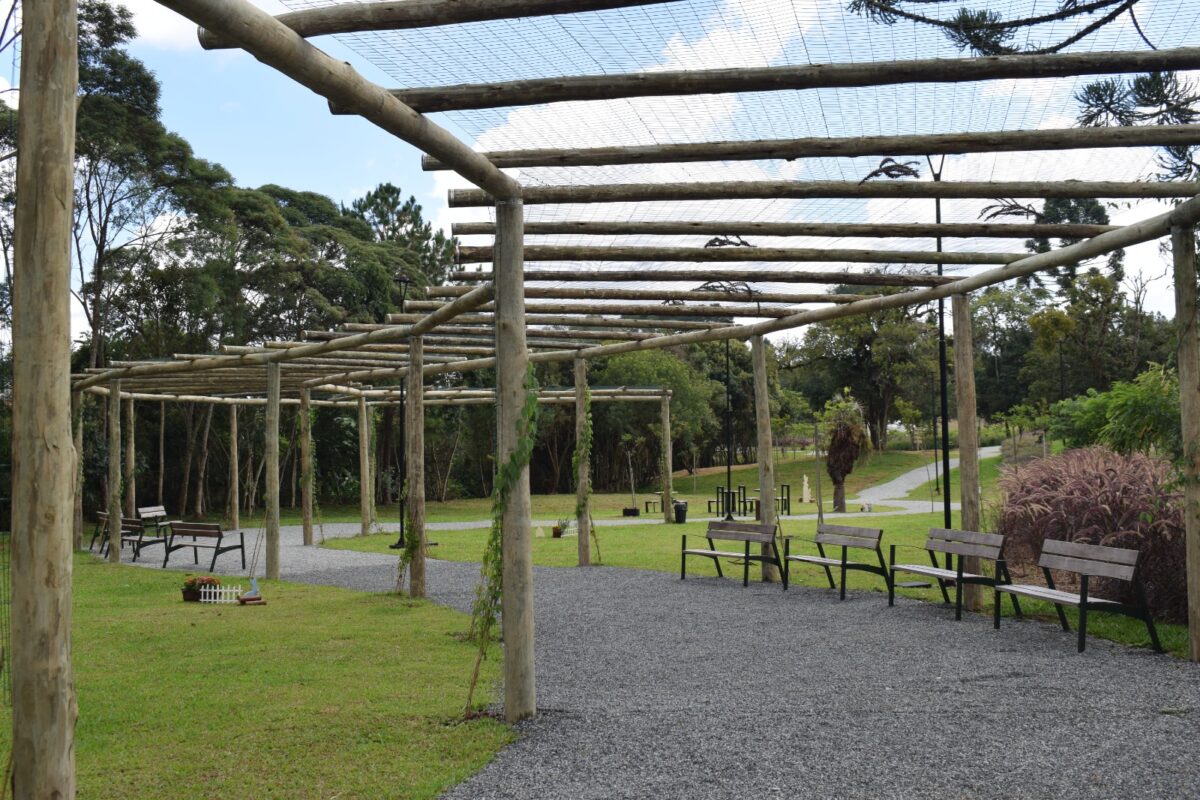 Um Novo Capítulo para Campo Alegre: nasce o Parque Paraíso das Araucárias