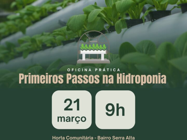 Oficina prática vai ensinar primeiros passos na hidroponia em Serra Alta