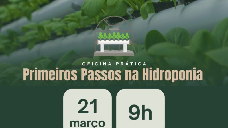 Oficina prática vai ensinar primeiros passos na hidroponia em Serra Alta