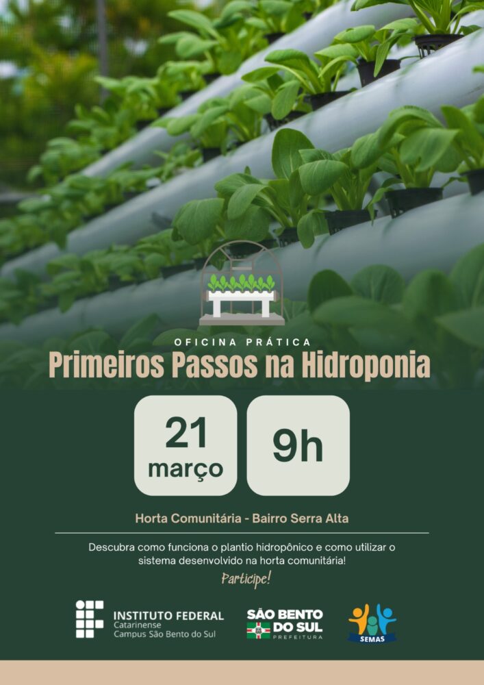 Oficina prática vai ensinar primeiros passos na hidroponia em Serra Alta