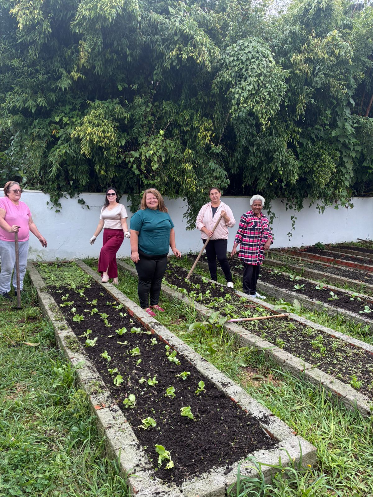 Horta Comunitária promove bem-estar e fortalecimento de vínculos entre mulheres em São Bento do Sul