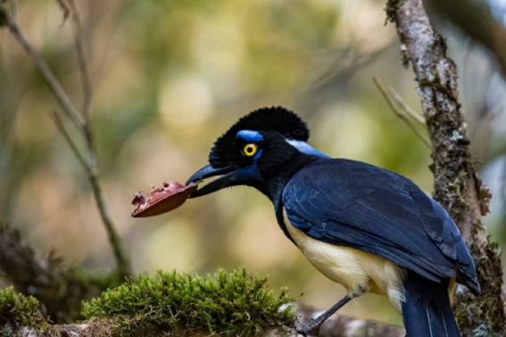 Alunos Da Rede Municipal Participam De Concurso Fotográfico Em Campo Alegre