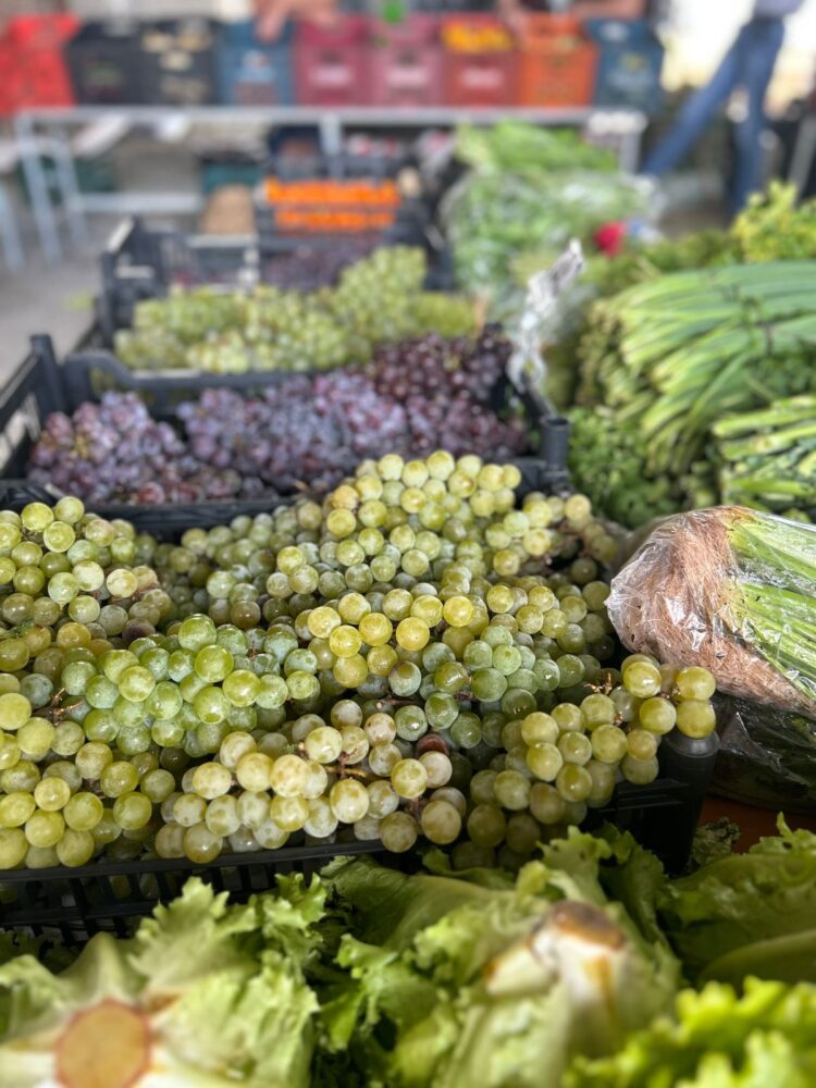 Programa Câmbio Verde será realizado no bairro Cruzeiro nesta sexta-feira