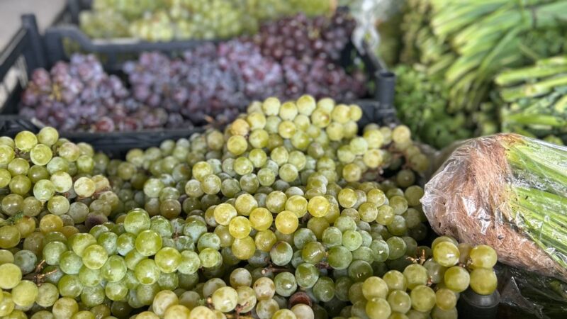 Novo local do Programa Câmbio Verde oferece mais espaço e acessibilidade em São Bento do Sul