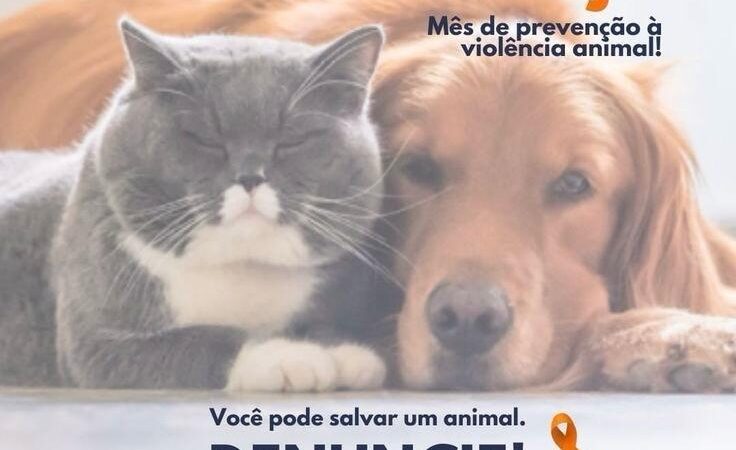 Abril Laranja: Conscientização contra a crueldade animal reforça a importância do bem-estar 