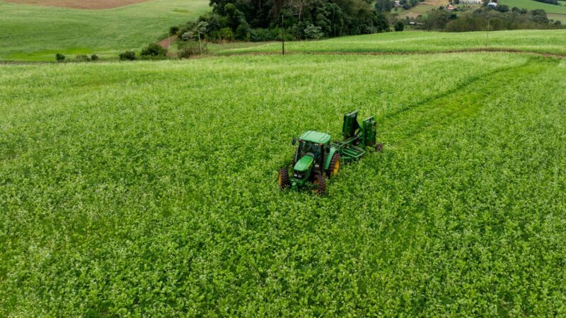 BRDE supera mais de R$650 milhões em crédito para micros e pequenas empresas em Santa Catarina