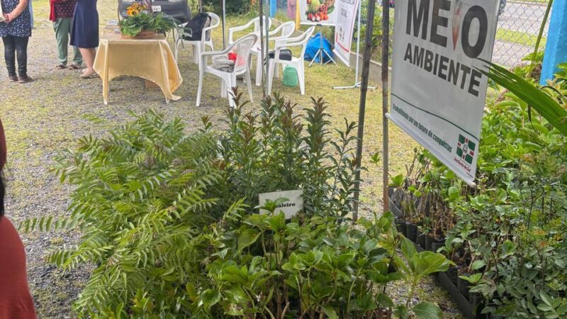 Secretaria de Agricultura e Meio Ambiente divulga balanço do mês de março 2026