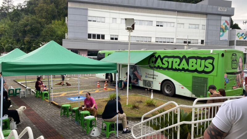 Programa Pet Levado a Sério realiza 271 castrações gratuitas em São Bento do Sul