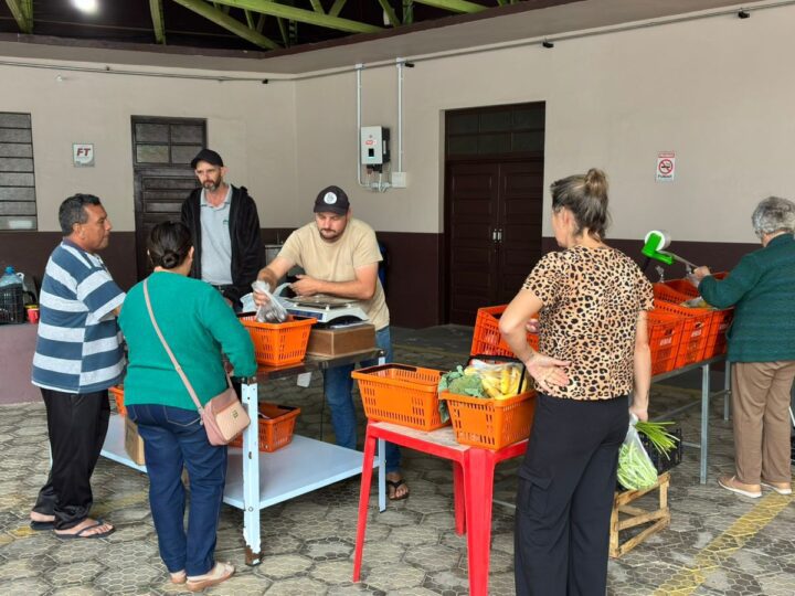 Câmbio Verde arrecada 4 toneladas de recicláveis em ação no bairro Serra Alta